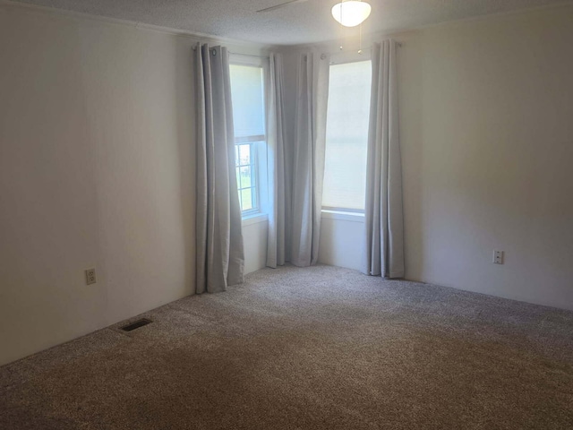 913 E Lewis St, Whitehall, MI 49461 - photo 20