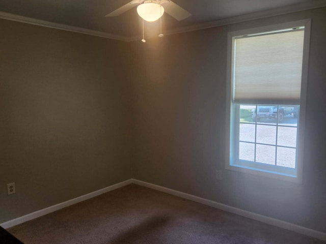 913 E Lewis St, Whitehall, MI 49461 - photo 28