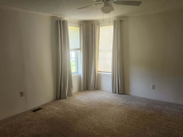 913 E Lewis St, Whitehall, MI 49461 - photo 18