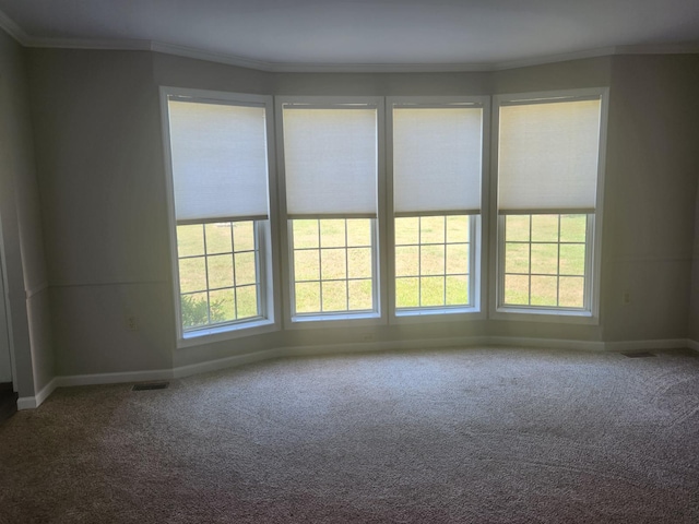 913 E Lewis St, Whitehall, MI 49461 - photo 14
