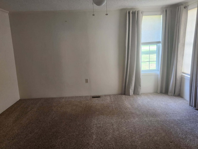 913 E Lewis St, Whitehall, MI 49461 - photo 19