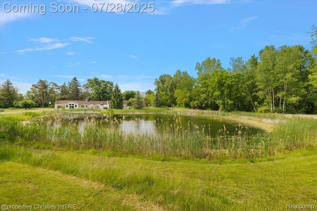 157 E Elmwood, Leonard, MI 48367 - photo 18
