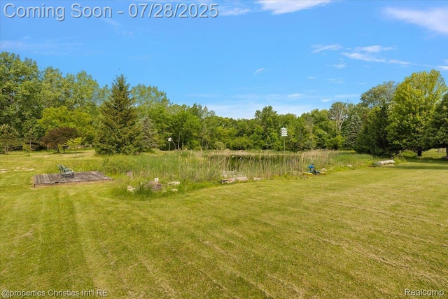 157 E Elmwood, Leonard, MI 48367 - photo 16