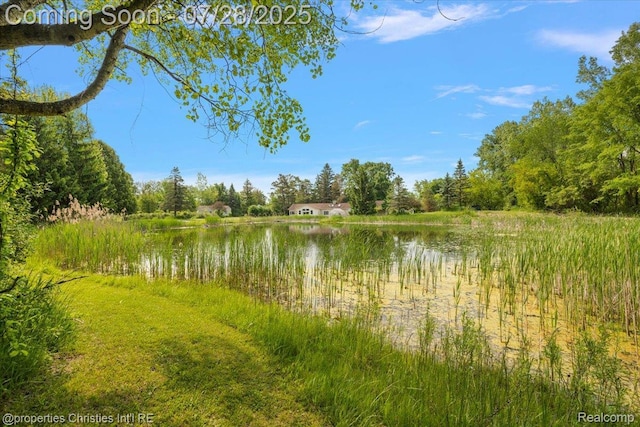 157 E Elmwood, Leonard, MI 48367 - photo 20
