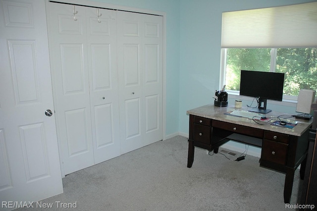785 Pathway Dr, Howell, MI 48843 - photo 23