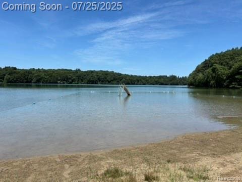 4304 Woodcock Way, Highland, MI 48357 - photo 50