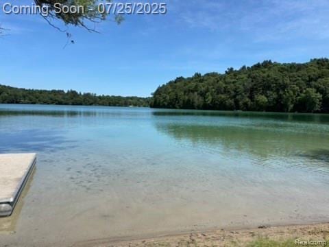 4304 Woodcock Way, Highland, MI 48357 - photo 49