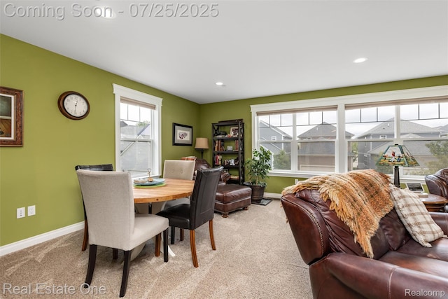 3843 Andover Ave, Auburn Hills, MI 48326 - photo 21