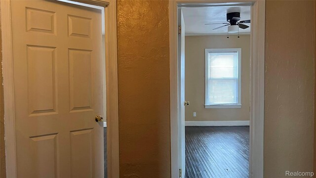 16164 Ward St, Detroit, MI 48235 - photo 9