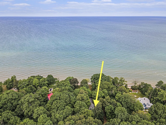 1130 Orchard Lake Dr, South Haven, MI 49090 - photo 25