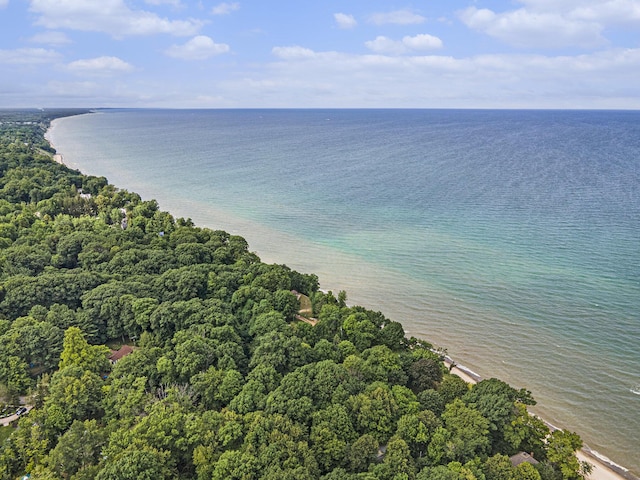 1130 Orchard Lake Dr, South Haven, MI 49090 - photo 27