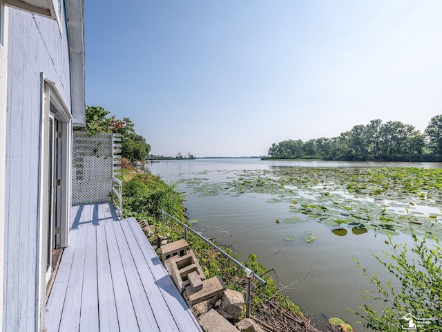 2958 Morin Point St, Erie, MI 48133 - photo 25