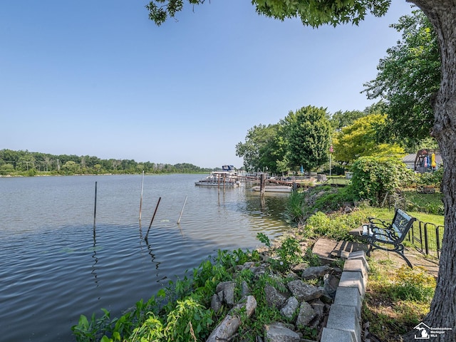 2958 Morin Point St, Erie, MI 48133 - photo 35