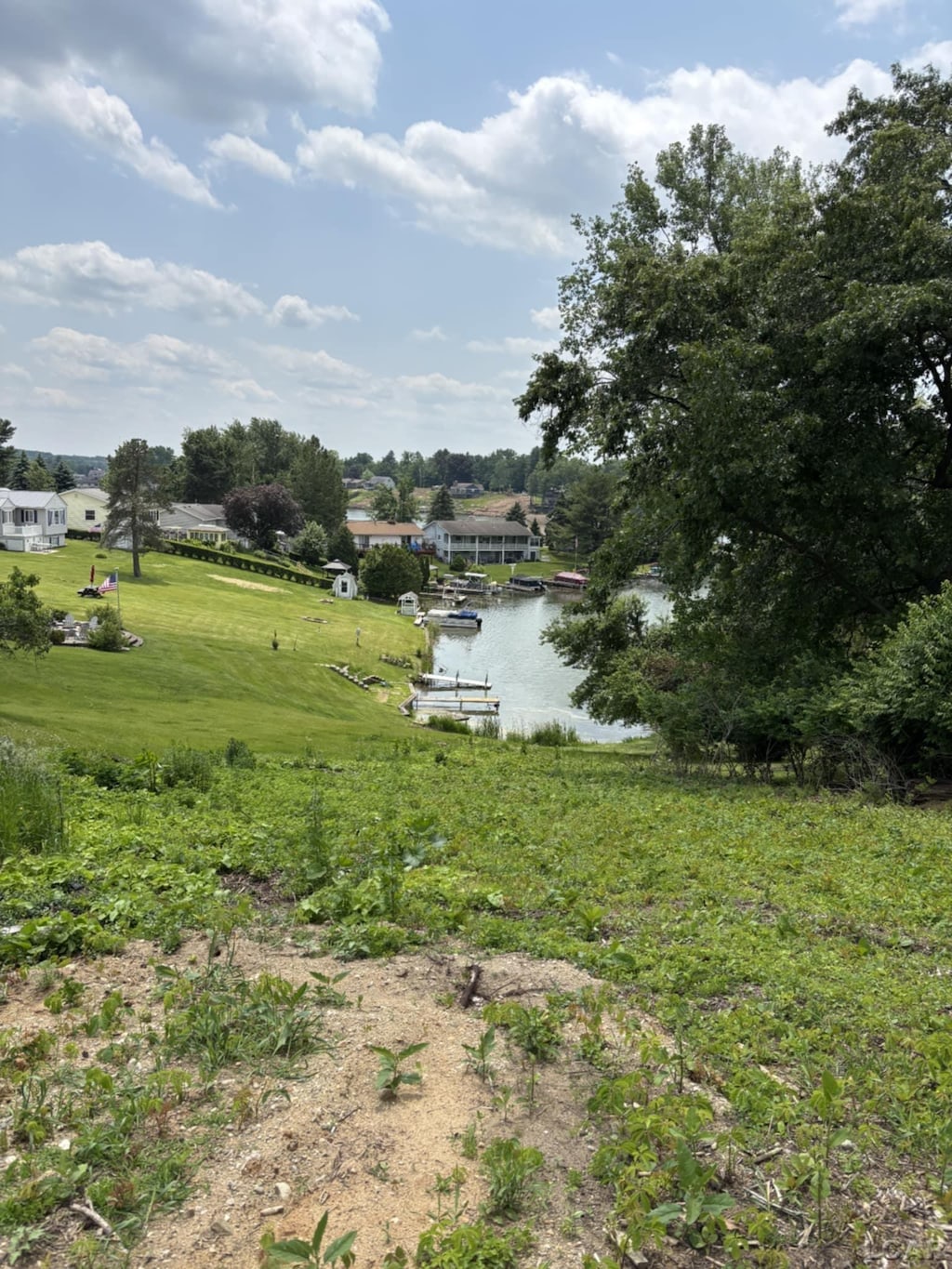 11768 Greenbriar Dr, Jerome, MI 49249 - photo 3