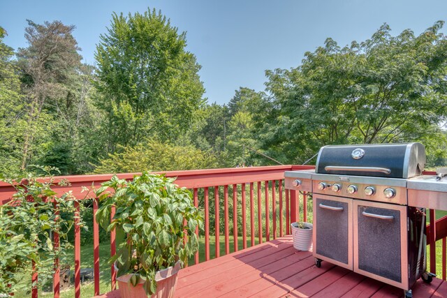 121 W Calgary Dr, Hastings, MI 49058 - photo 28