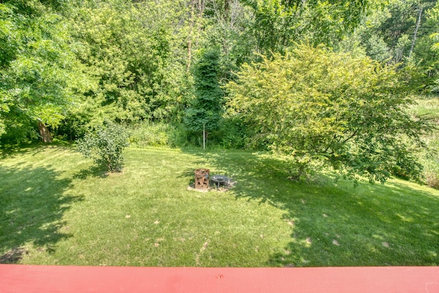 121 W Calgary Dr, Hastings, MI 49058 - photo 44