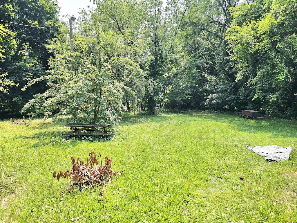 17881 S River Rd, Three Rivers, MI 49093 - photo 4
