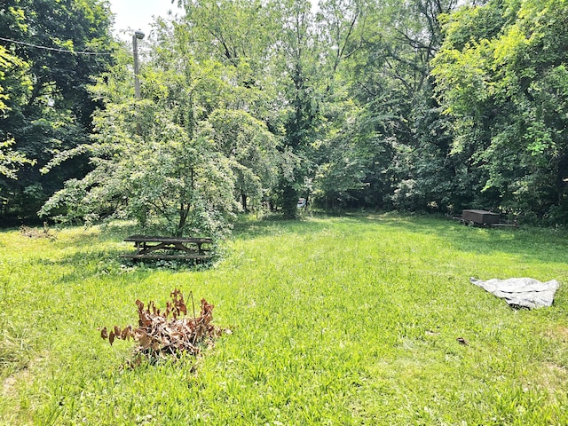 17881 S River Rd, Three Rivers, MI 49093 - photo 4