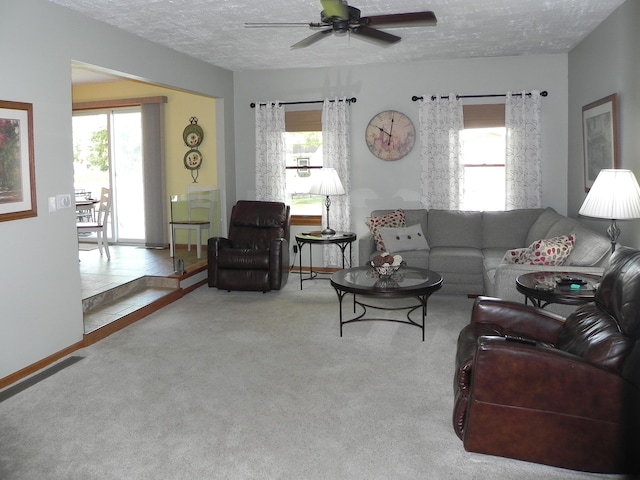 906 Bowman St, Colon, MI 49040 - photo 15