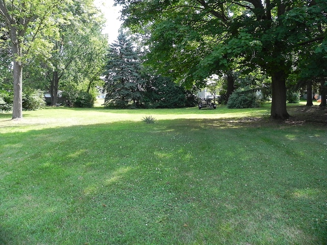 906 Bowman St, Colon, MI 49040 - photo 51