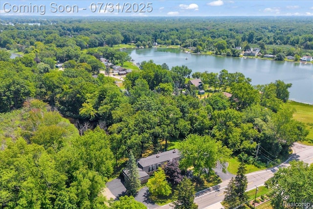 6130 Carroll Lake Rd Unit 1, Commerce Twp, MI 48382 - photo 34