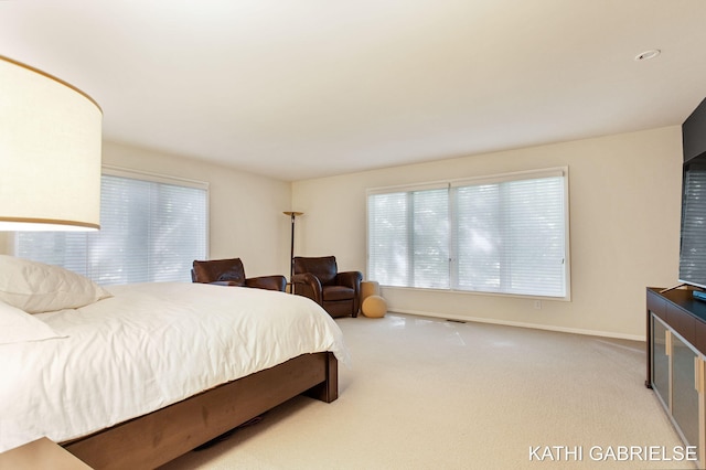 18183 N Fruitport Rd, Spring Lake, MI 49456 - photo 40