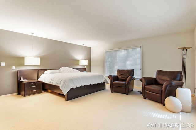 18183 N Fruitport Rd, Spring Lake, MI 49456 - photo 39