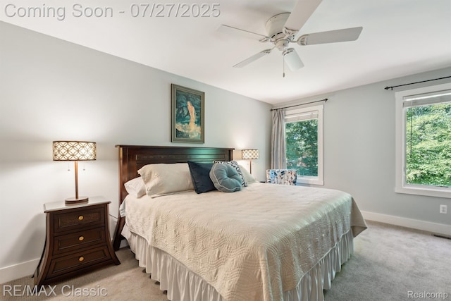 5133 Canyon Oaks Dr, Brighton, MI 48114 - photo 28