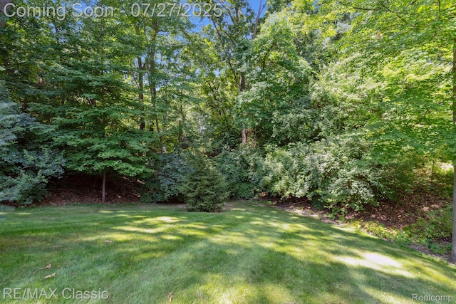 5133 Canyon Oaks Dr, Brighton, MI 48114 - photo 39