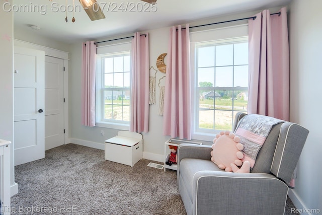 11164 Beethoven Blvd, Davison, MI 48423 - photo 40
