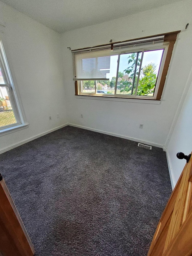 1001 Rose Ave, Big Rapids, MI 49307 - photo 11