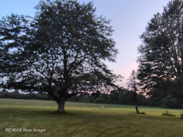 2209 Conrad Rd, Standish, MI 48658 - photo 44