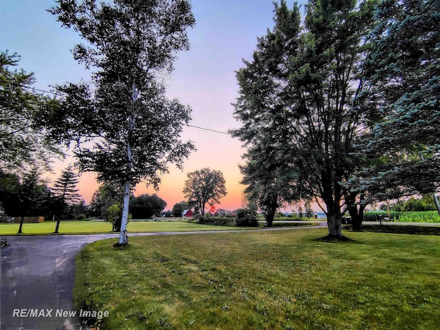 2209 Conrad Rd, Standish, MI 48658 - photo 4