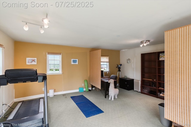 4805 Stone School Rd, Ann Arbor, MI 48108 - photo 43