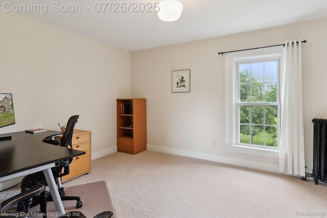 4805 Stone School Rd, Ann Arbor, MI 48108 - photo 38