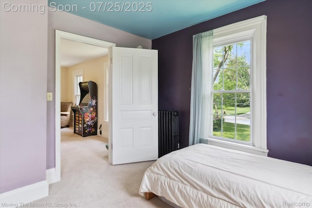 4805 Stone School Rd, Ann Arbor, MI 48108 - photo 34