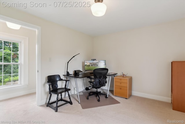 4805 Stone School Rd, Ann Arbor, MI 48108 - photo 40