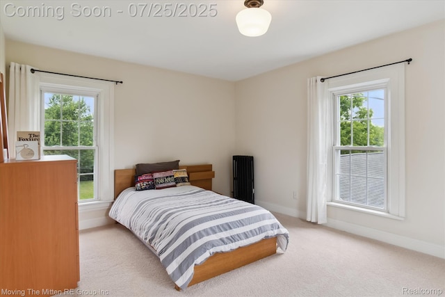 4805 Stone School Rd, Ann Arbor, MI 48108 - photo 35