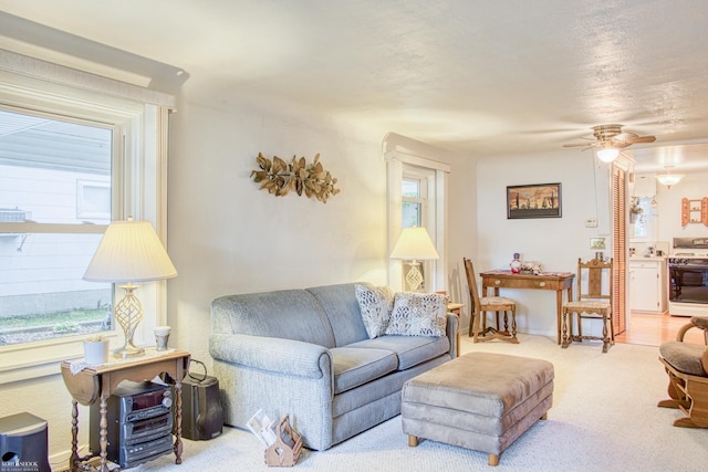 317 Randolph St, Owosso, MI 48867 - photo 8