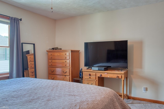 115 E King St, Owosso, MI 48867 - photo 13