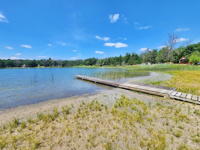 4809 S Astor Rd, Baldwin, MI 49304 - photo 5