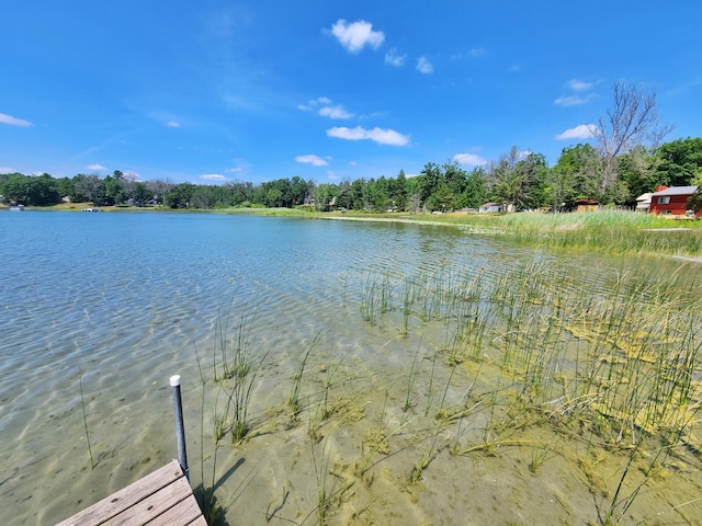 4809 S Astor Rd, Baldwin, MI 49304 - photo 6