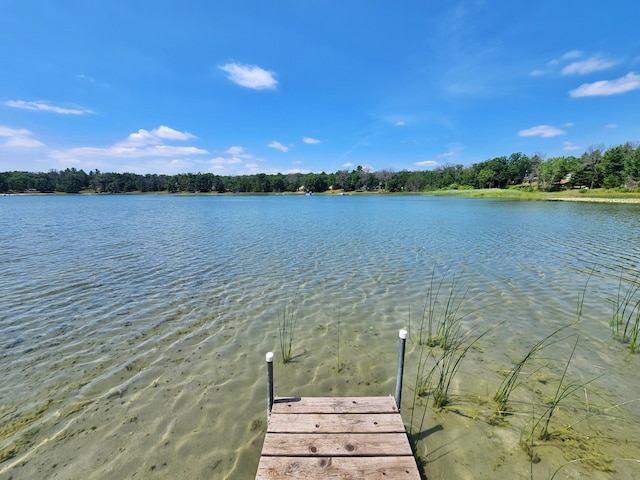 4809 S Astor Rd, Baldwin, MI 49304 - photo 7