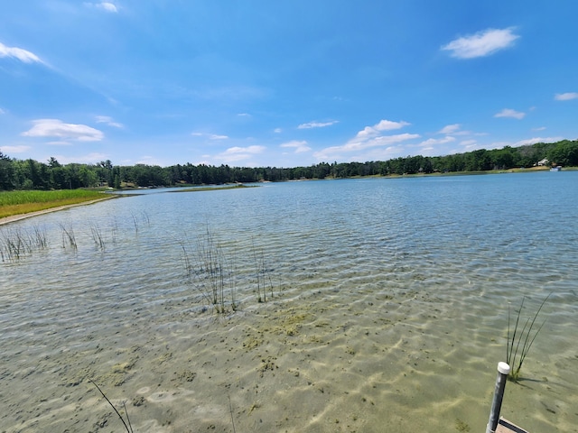 4809 S Astor Rd, Baldwin, MI 49304 - photo 8