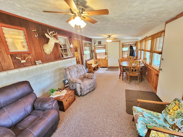 4809 S Astor Rd, Baldwin, MI 49304 - photo 27