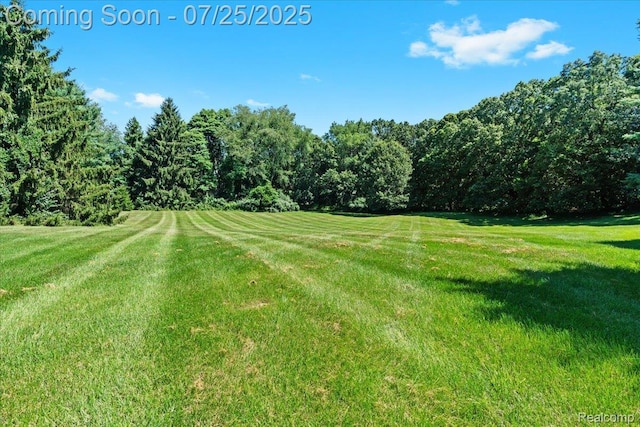 3862 Saddle Ln, Milford, MI 48381 - photo 45