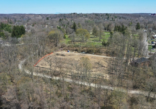 1128 Longshore Dr Unit # 2, Ann Arbor, MI 48105 - photo 4