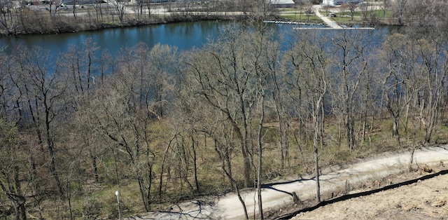1128 Longshore Dr Unit # 2, Ann Arbor, MI 48105 - photo 7