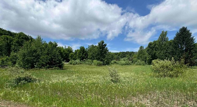 LOTS32 S Ski View Cir, Cedar, MI 49621 - photo 1