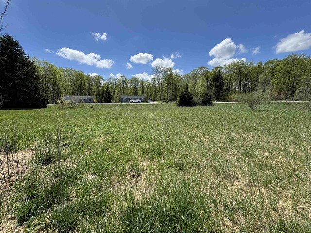 LOTS32 S Ski View Cir, Cedar, MI 49621 - photo 2
